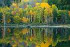 Maine Reflections at Beaver Dam Pond in Acadia National Park Art Print